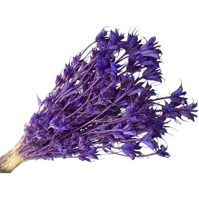 Sušené kvety Černuška - Nigella orientalis 80g - sýto fialové