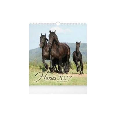 MFP Horses nástěnný 2027