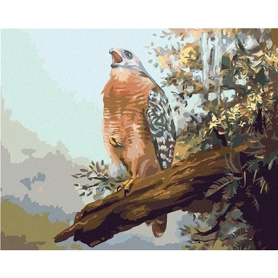 zuty Malování Podle Čísel Dravec Na Větvi D. Rusty Rust 80 x 100 Cm Plátno Rám