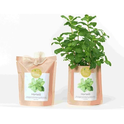 Life in a bag Máta Grow Bag