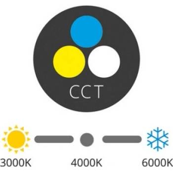 Ecolite LED-WSQ-CCT/12W/CR
