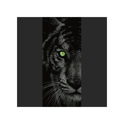 Preinterier DV0067 Fototapeta na stenu Tmavý tiger vlies 91cm x 211cm