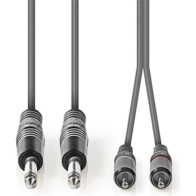 Nedis Полупрофесионален аудиокабел Nedis COTH23320GY30, 2 x 6, 35 mm моно жак - 2 X RCA щепсел, дължина 3 m, гъвкав (COTH23320GY30)