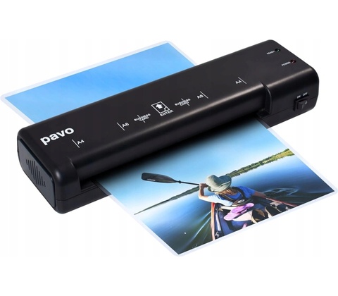 Pavo 8038718