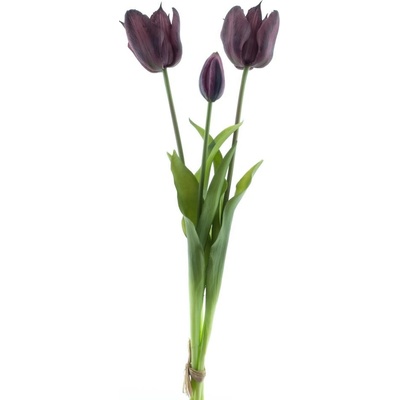 Tulipán 'Sally' svazek x3 fialová (aubergine) V43 cm