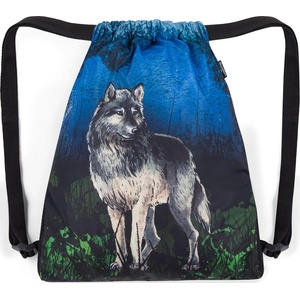 Bagmaster City Bag Lumi 24 F Blue/black (BM-CITYBAGLUMI24)