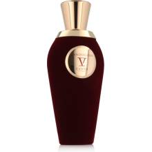 V Canto pánska dragola parfum unisex 100 ml