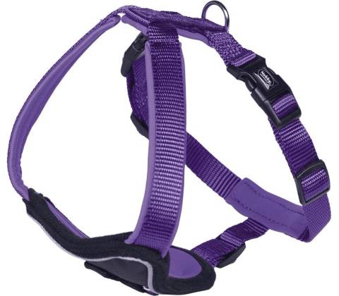 NOBBY COMFORT Postroj Classic
