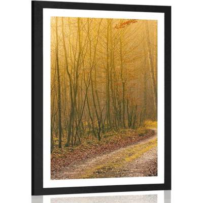 Plakát s paspartou cestička do lesa - 30x45 white