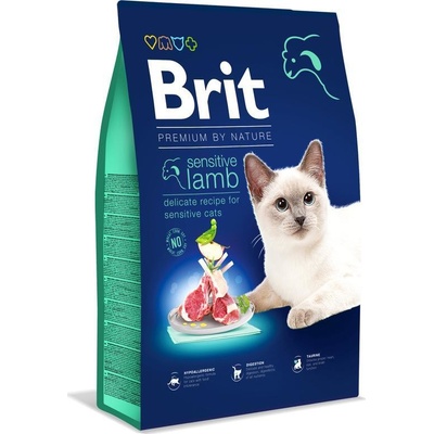 Brit Dry Premium Sensitive s jahňacím 0,3 kg