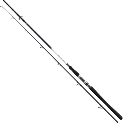 DAIWA GRANDWAVE POLLOCK 2,4 m 40-100 g 2 díly