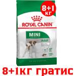 Royal Canin Royal Canin- MINI ADULT за израстнали кучета от дребни породи 8+1kg gratis