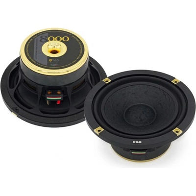 ESB Audio 8.165