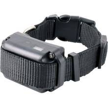 E-collar BP 504