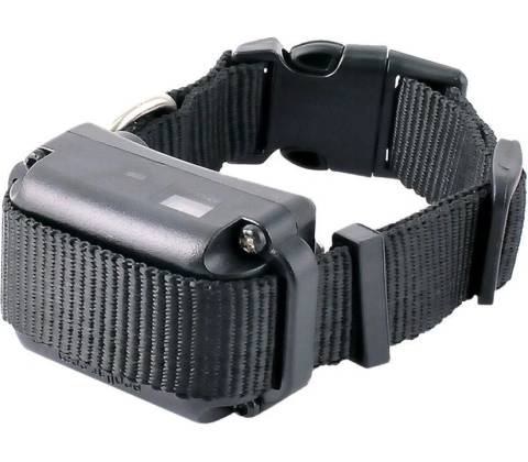 E-collar BP 504