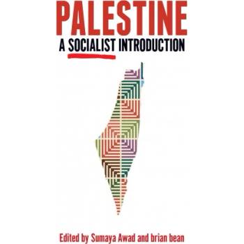 Palestine: A Socialist Introduction