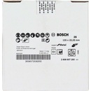 Bosch 2.608.607.250
