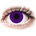 Gelflex CRAZY LENS - Solid Violet - дневни с диоптър (2 лещи)