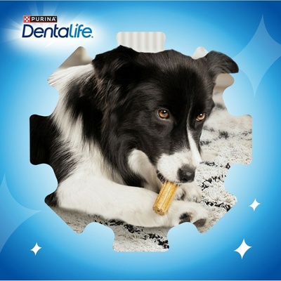 Dentalife Extra Mini Dental snack for dogs 69 g