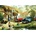 Gibsons - Puzzle Feeding the Ducks - 500 piese