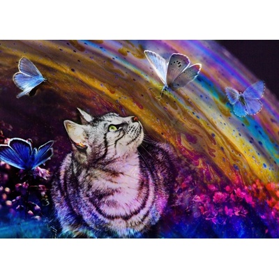 Grafika Cat and Butterflies 500 dielov