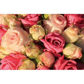 DIMEX ART s. r. o Флизелинов фототапет сватбен букет от рози 375 x 250 см