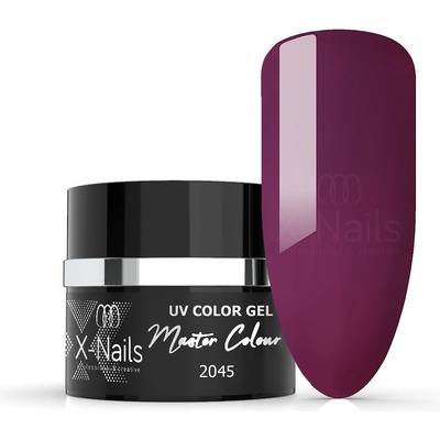 X Nails bezvýpotkový UV/LED gel Master Line PLUM PURPLE 5 ml