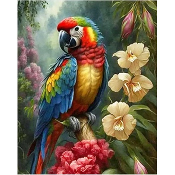 Norimpex - Puzzle Diamant painting: Colorful parrot Ara 30x40cm - 1 - 39 piese