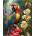 Norimpex - Puzzle Diamant painting: Colorful parrot Ara 30x40cm - 1 - 39 piese