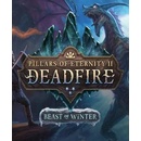 Pillars of Eternity 2: Deadfire - Beast of Winter