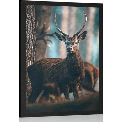 Plakát jelen v lese - 20x30 black