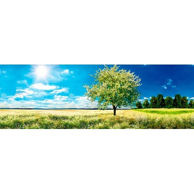 Dimex KI180-085 Samolepící fototapeta do kuchyně Blossom tree rozměry 180 x 60 cm
