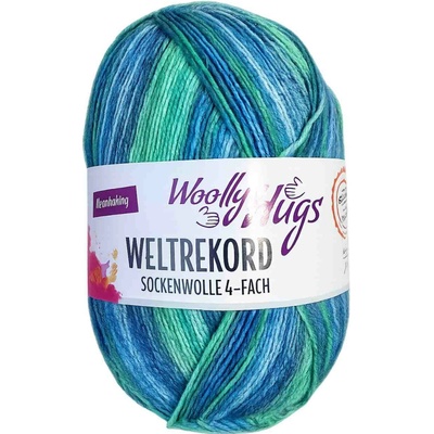 Příze Woolly Hugs World Record Ledovcová svěžest 100 g | 420 m | 4-fach