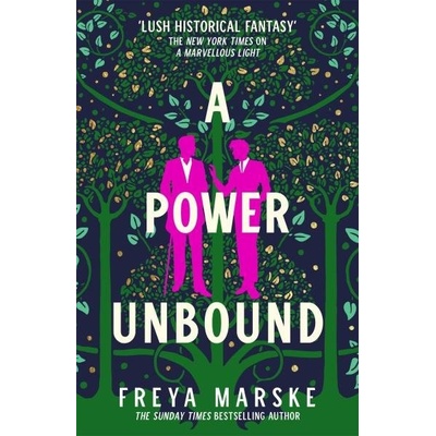 A Power Unbound - Freya Marske