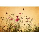 DIMEX ART Флизелинов фототапет цветя върху хартия 375 x 250 см