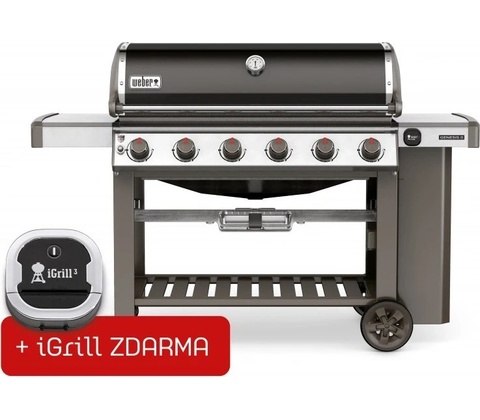 Weber Genesis II E-610GBS