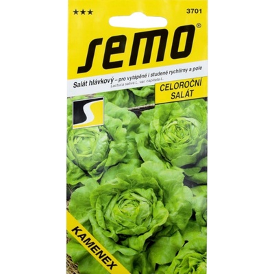 ŠALÁT HLÁVKOVÝ celoročný Kamenex