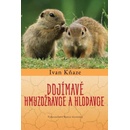 Dojímavé hmyzožravce a hlodavce