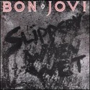 Hudba BON JOVI: SLIPPERY WHEN WET CD