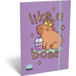 LIZZY Папка с каучук, картон, A4, LIZZYSULI, Lollipop Capibara (7460148000)