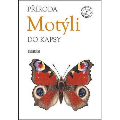 Motýli