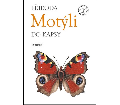 Motýli