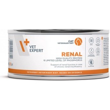 VetExpert 4T Renal Cat 100 g