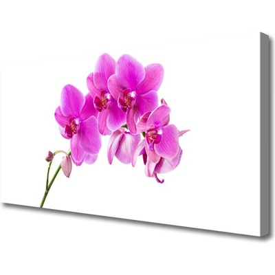 Obraz Canvas Vstavač kvet orchidea 100x50 cm