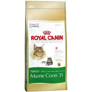 Royal Canin FBN Maine Coon 31 10 kg