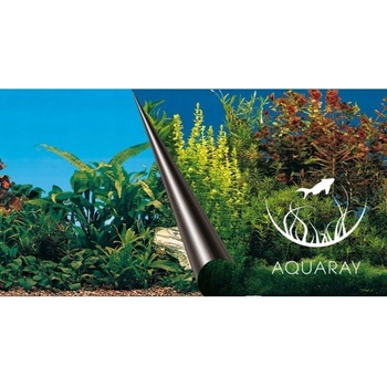 Europet Bernina Photo Decor Beauty + Sea 80 x 40 cm