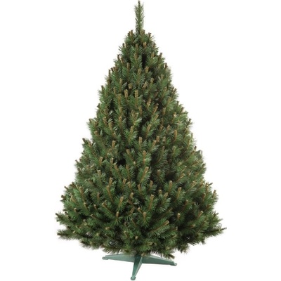 Nohel Garden Stromek BOROVICE umělý vánoční + stojan 180cm