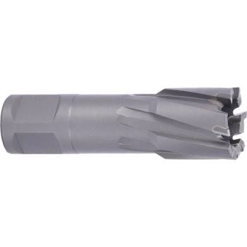!!!! ABSE N-CA-W19-0245035