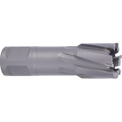 !!!! ABSE N-CA-W19-0245035