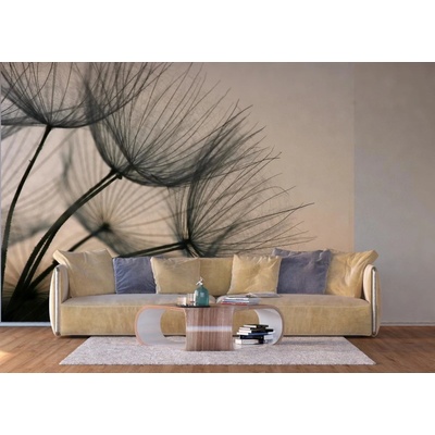 Ag Design FTNXXL-2494 Vliesová fototapeta Odkvetlé pampelišky rozměry 360 x 270 cm
